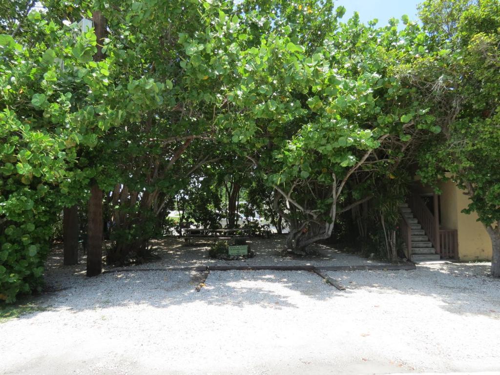 Ed & Ellen'S Lodgings Key Largo 모텔 외부 사진