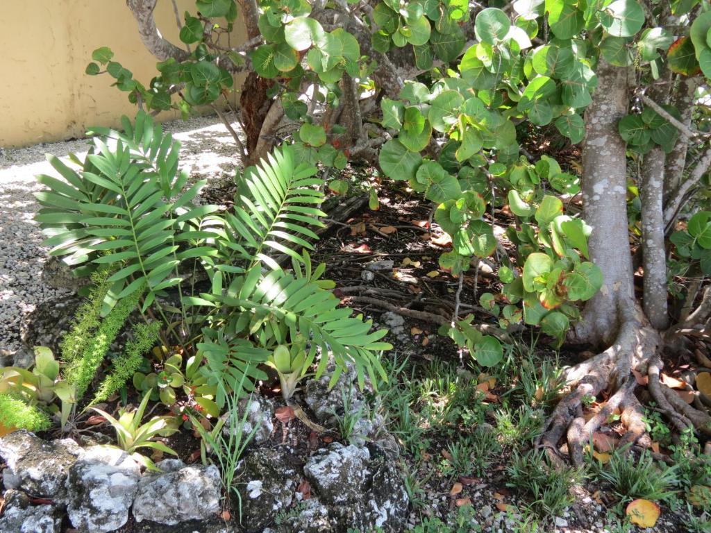 Ed & Ellen'S Lodgings Key Largo 모텔 외부 사진