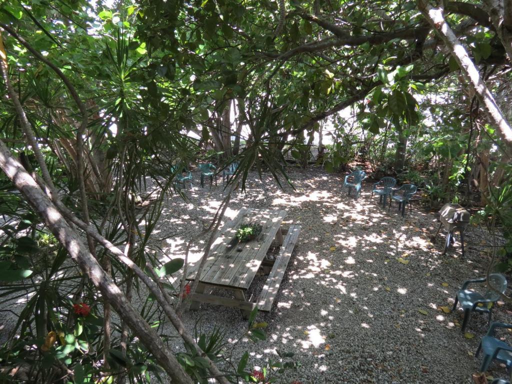 Ed & Ellen'S Lodgings Key Largo 모텔 객실 사진