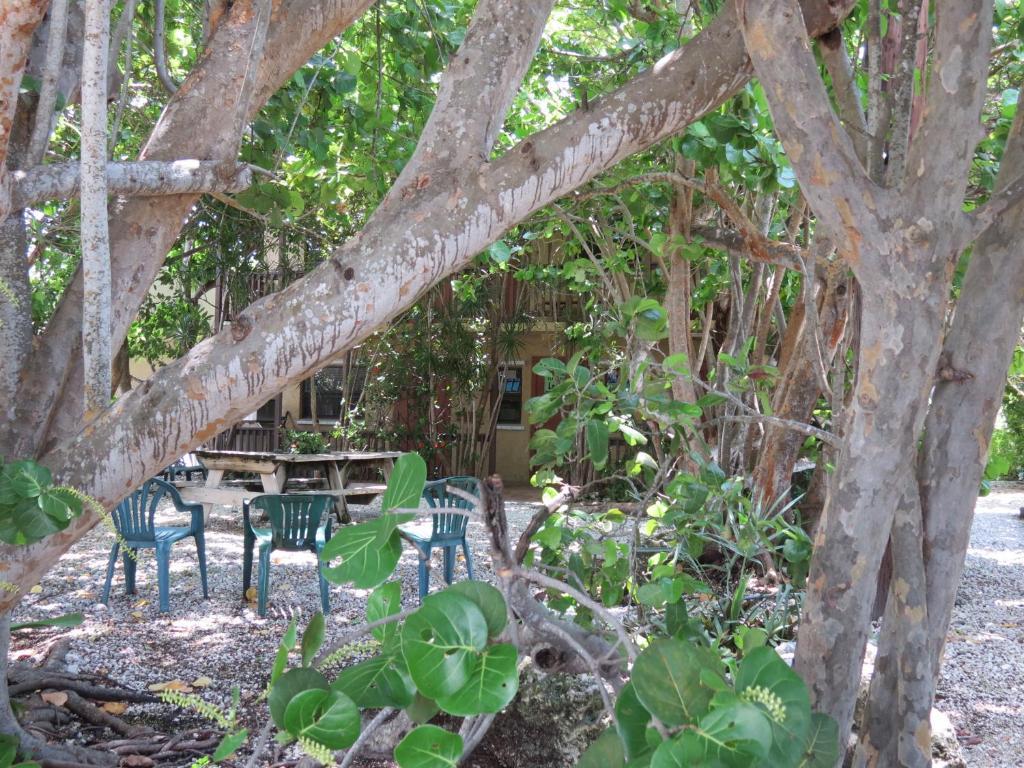 Ed & Ellen'S Lodgings Key Largo 모텔 외부 사진