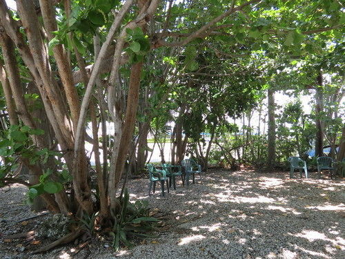 Ed & Ellen'S Lodgings Key Largo 모텔 외부 사진