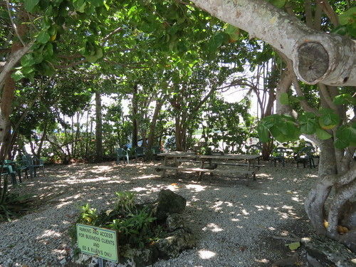 Ed & Ellen'S Lodgings Key Largo 모텔 외부 사진
