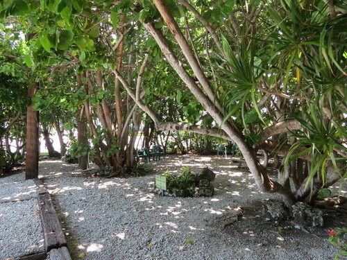 Ed & Ellen'S Lodgings Key Largo 모텔 외부 사진