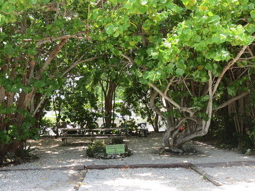 Ed & Ellen'S Lodgings Key Largo 모텔 외부 사진